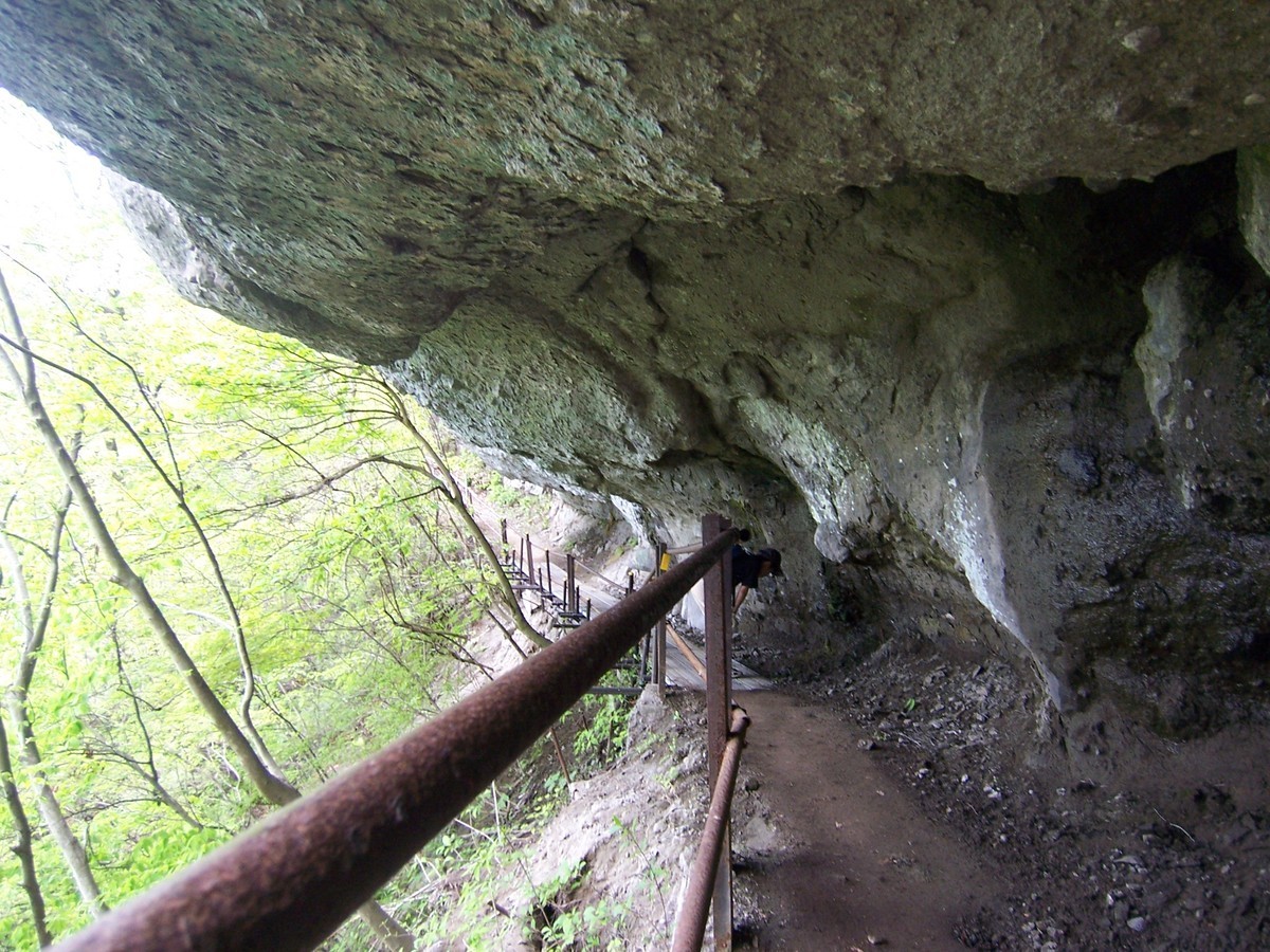 f:id:mrmt:20080504130603j:plain