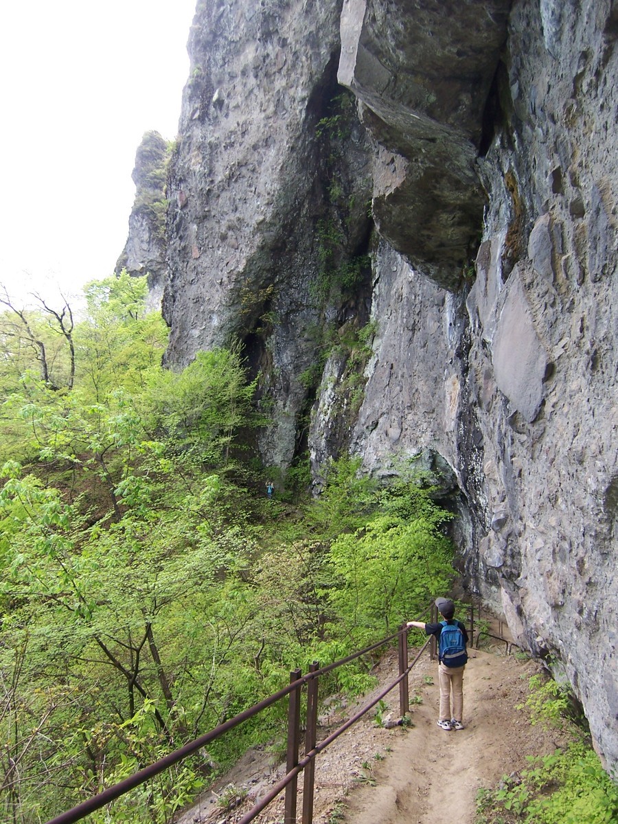 f:id:mrmt:20080504130756j:plain