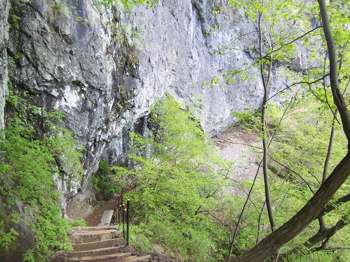 f:id:mrmt:20080504130922j:plain