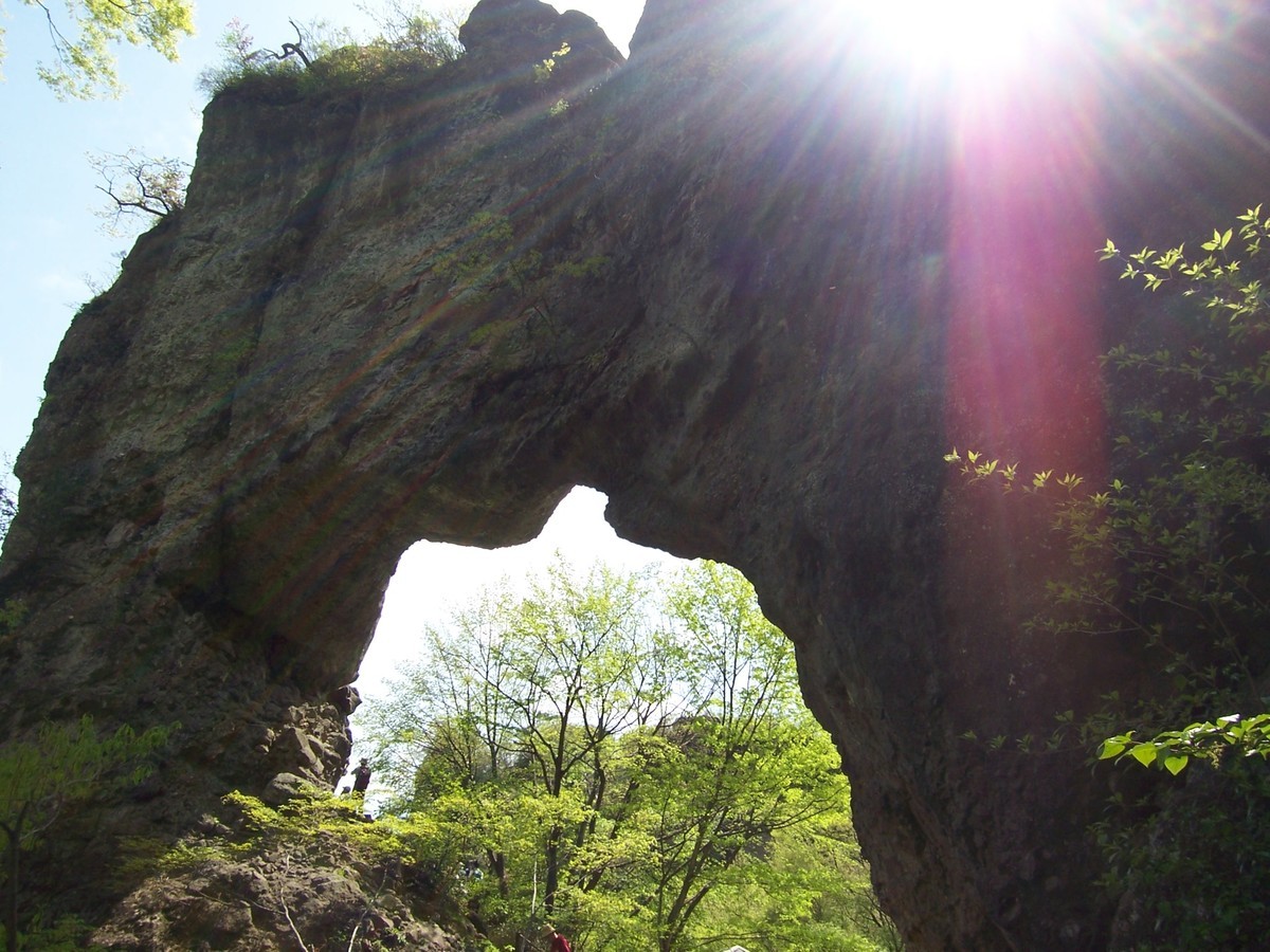 f:id:mrmt:20080504133713j:plain