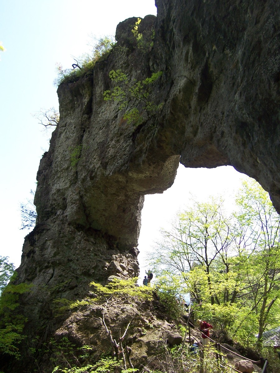 f:id:mrmt:20080504133731j:plain