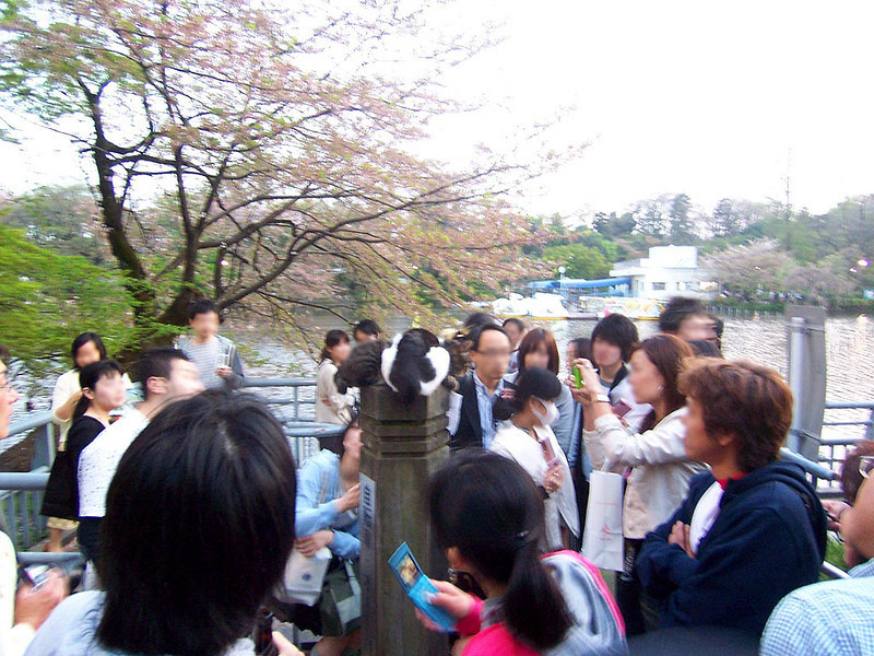 f:id:mrmt:20090411181233j:plain f:id:mrmt:20090411181233j:plain