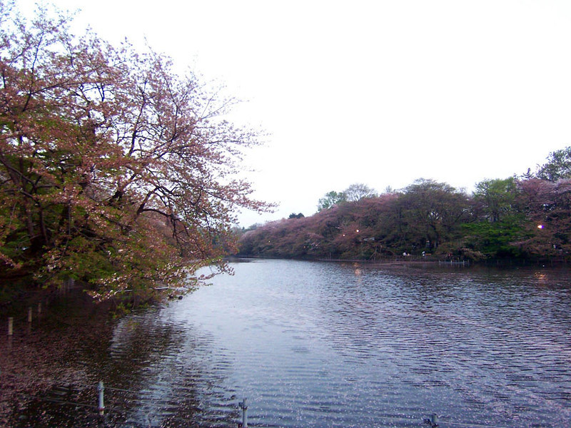 f:id:mrmt:20090411181426j:plain f:id:mrmt:20090411181426j:plain