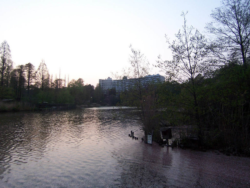 f:id:mrmt:20090411181436j:plain f:id:mrmt:20090411181436j:plain