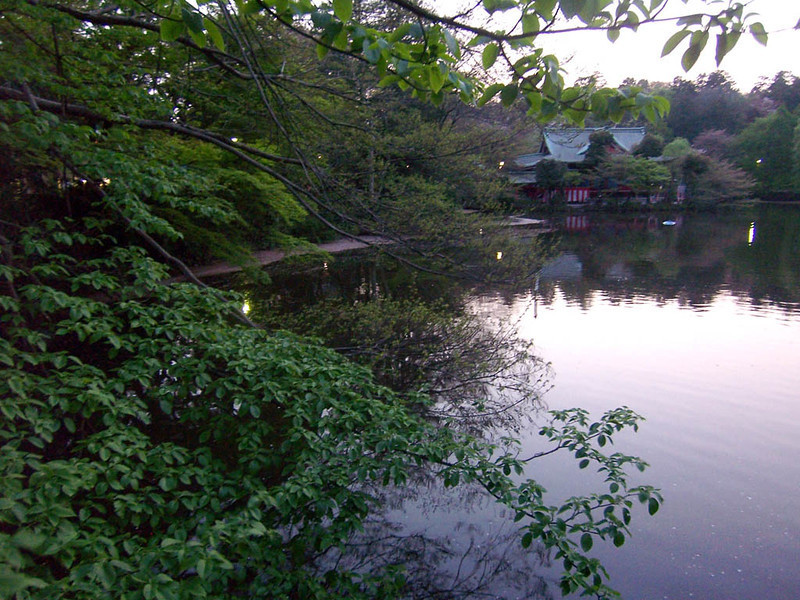 f:id:mrmt:20090411182239j:plain f:id:mrmt:20090411182239j:plain