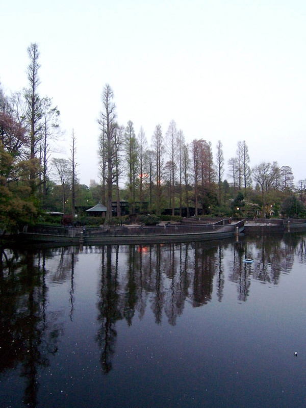 f:id:mrmt:20090411182302j:plain f:id:mrmt:20090411182302j:plain