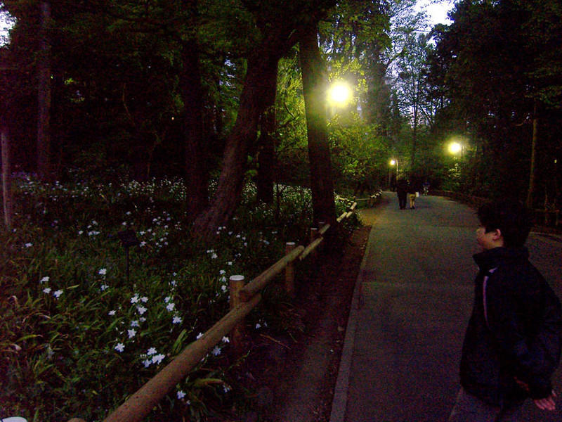 f:id:mrmt:20090411182513j:plain f:id:mrmt:20090411182513j:plain