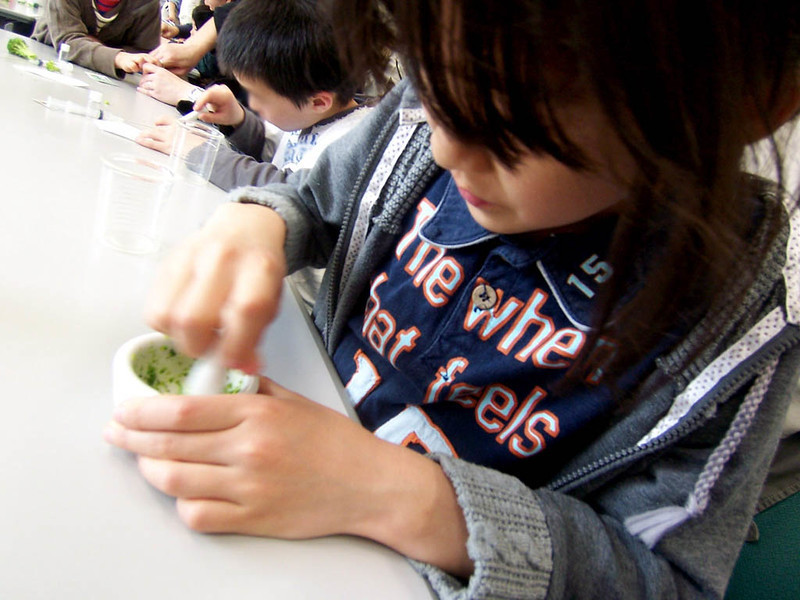 f:id:mrmt:20090418143823j:plain