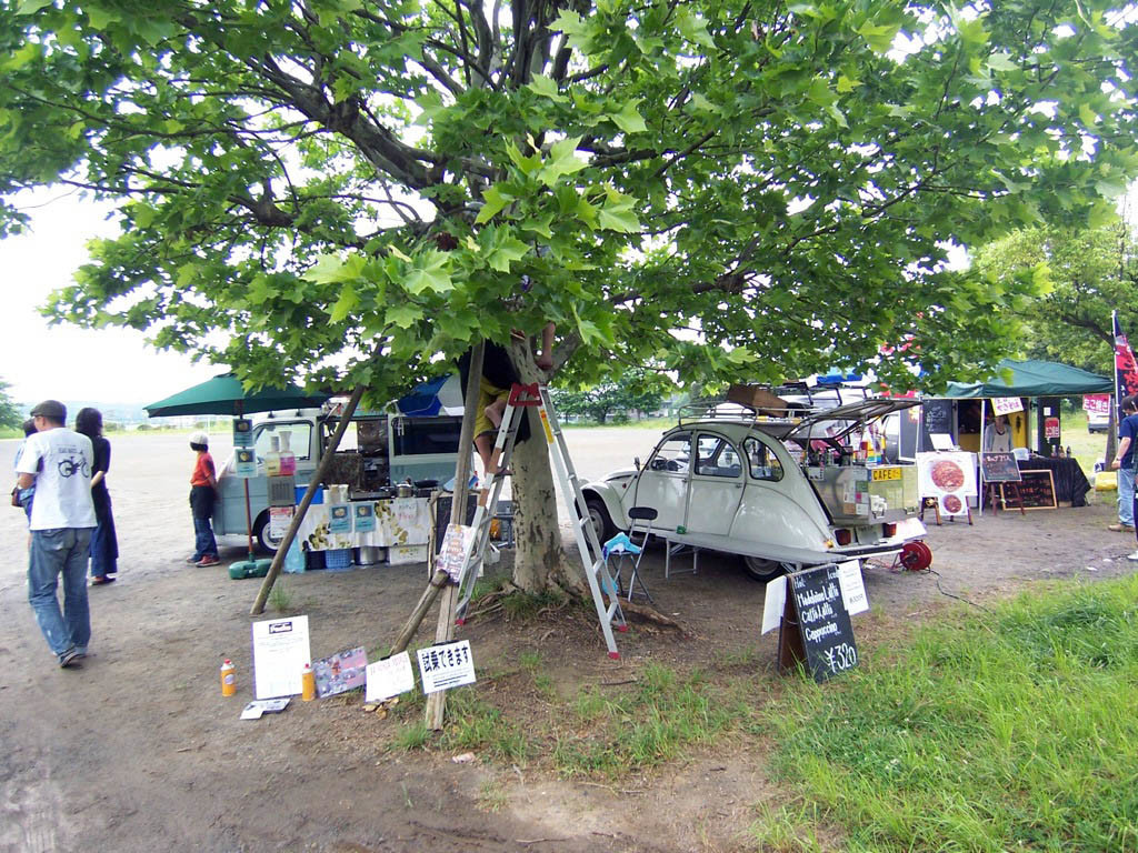 f:id:mrmt:20090524120132j:plain