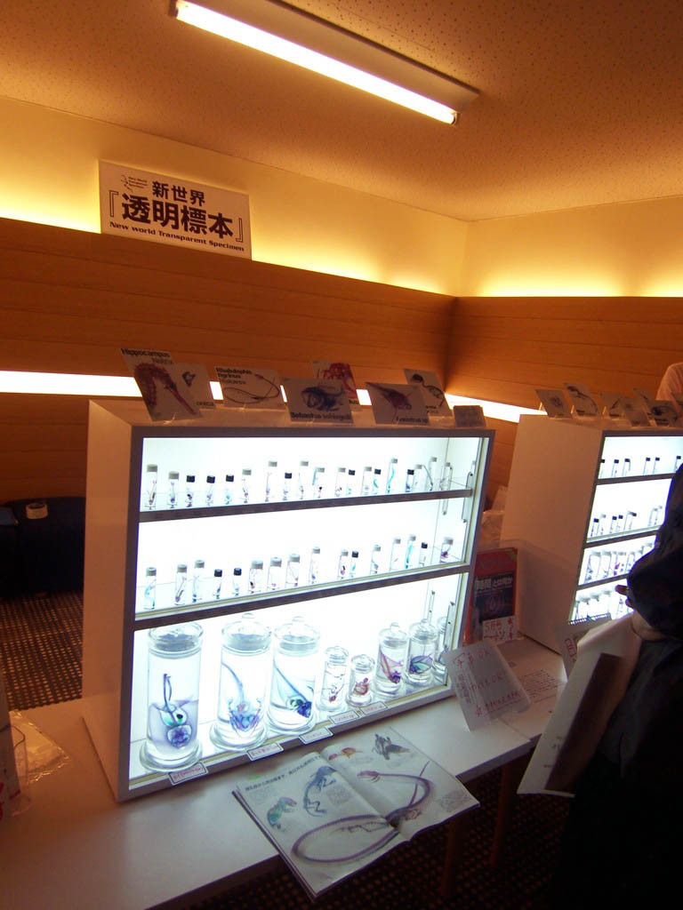 f:id:mrmt:20090524120821j:plain