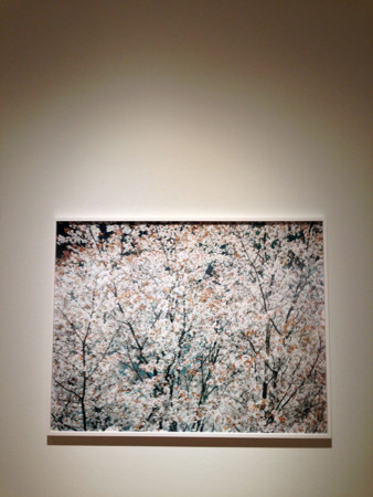 f:id:mrmt:20150917182028j:plain