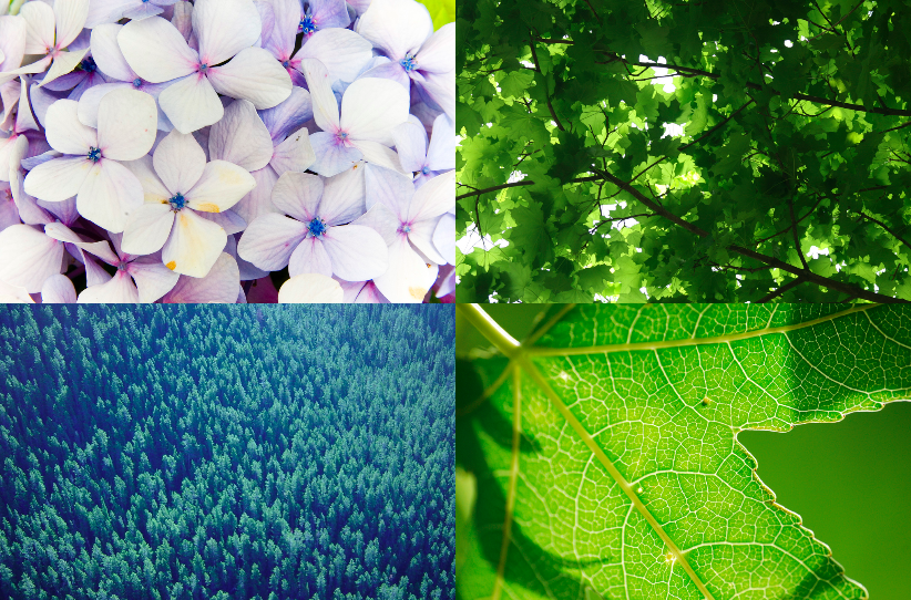 f:id:mrmt:20160102221328p:plain