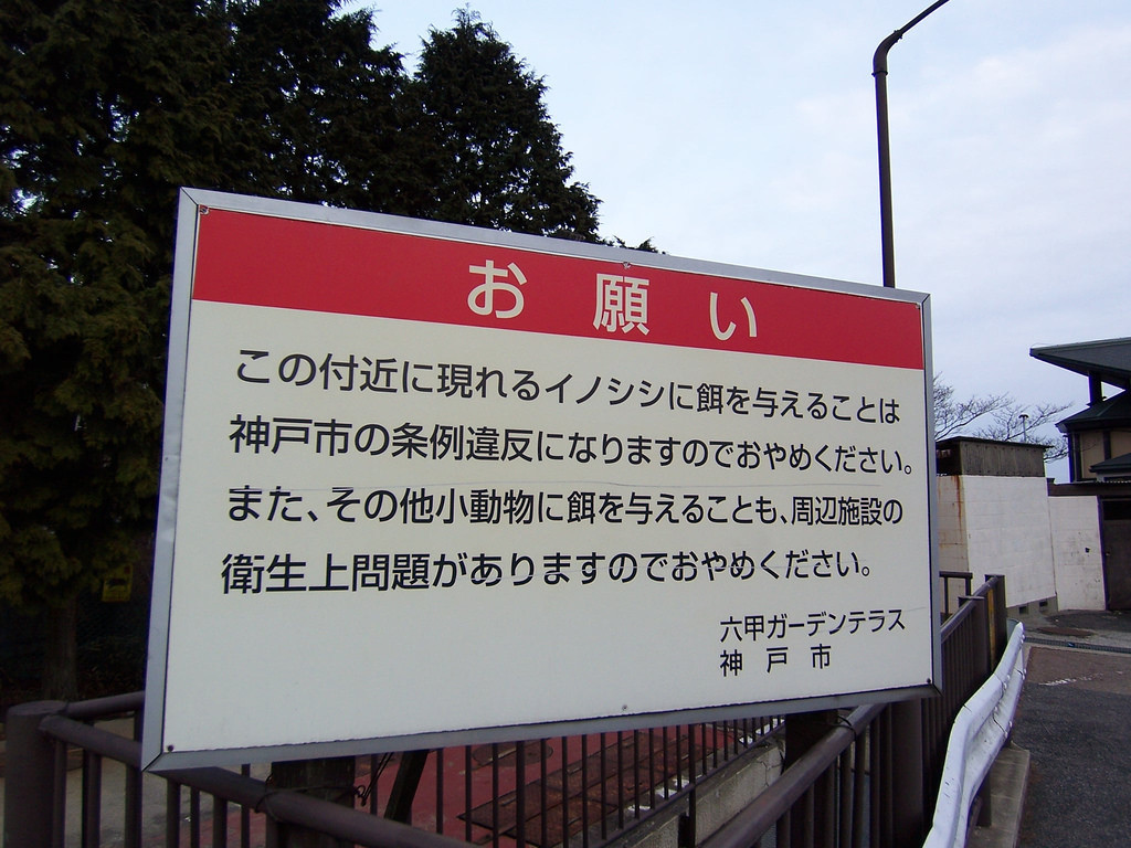f:id:mrmt:20190114225916j:plain