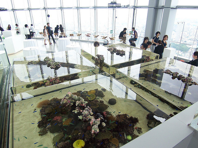 f:id:mrmt:20190216192753j:plain