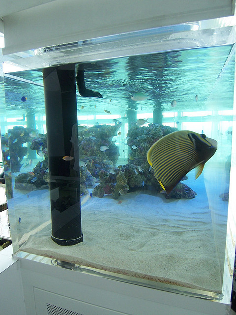 f:id:mrmt:20190216192758j:plain