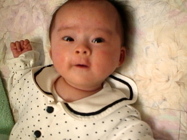 f:id:mrmt:20190319193843j:plain
