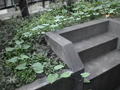 f:id:mrmt:20190401233551j:plain