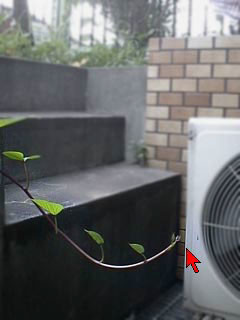 f:id:mrmt:20190401233556j:plain