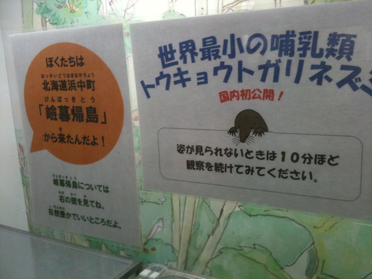 f:id:mrmt:20191014093218j:plain