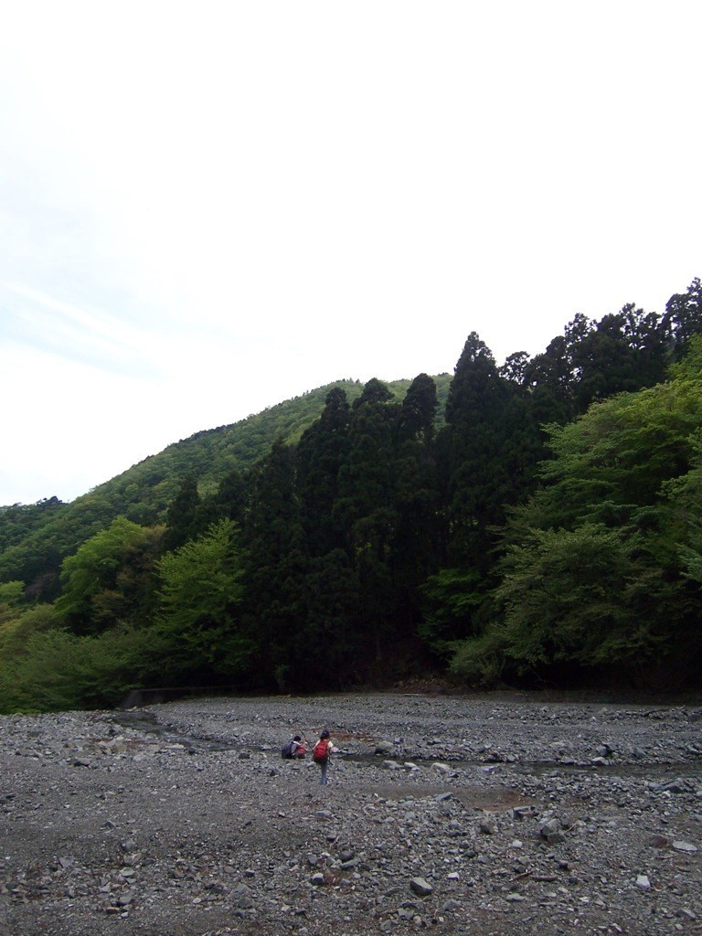 f:id:mrmt:20191103110843j:plain