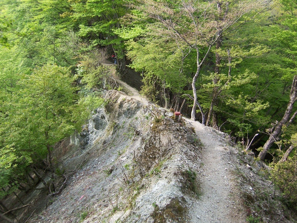 f:id:mrmt:20191103110916j:plain