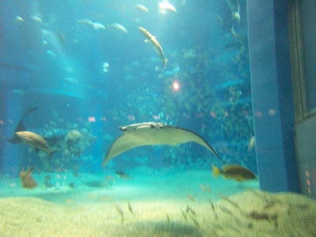 f:id:mrmt:20200102215208j:plain