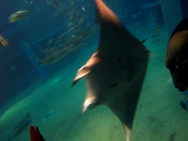 f:id:mrmt:20200102215211j:plain