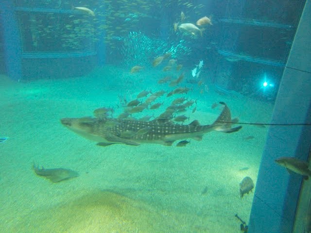 f:id:mrmt:20200102215213j:plain