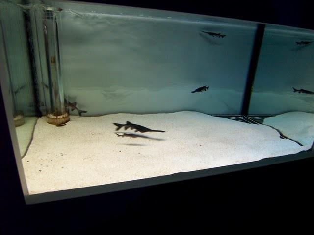 f:id:mrmt:20200102215223j:plain