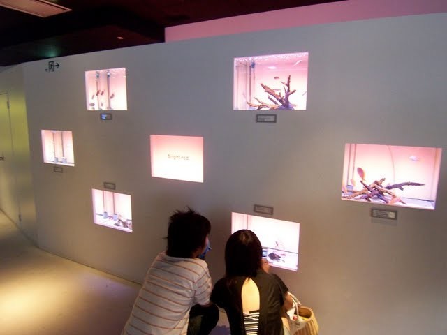 f:id:mrmt:20200102215226j:plain