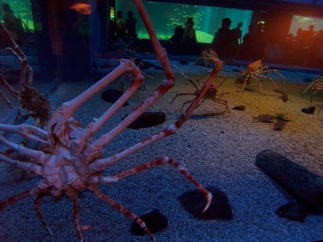 f:id:mrmt:20200102215232j:plain