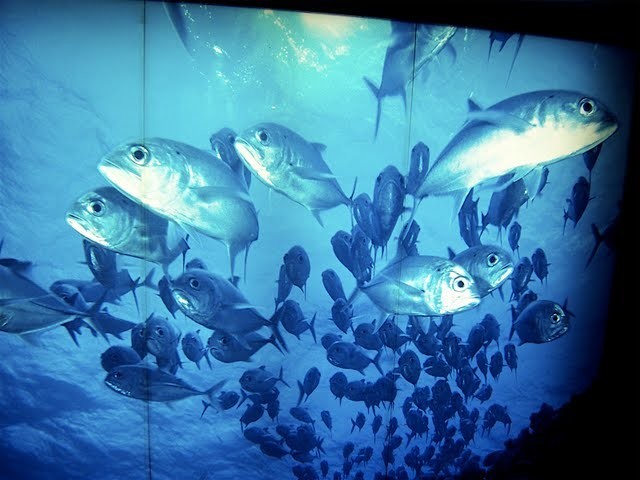 f:id:mrmt:20200102215246j:plain