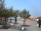 f:id:mrmt:20200111141729j:plain