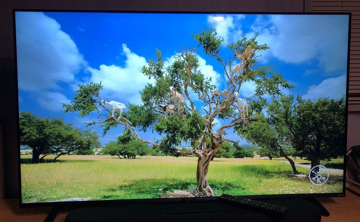 2020年式 4K対応液晶テレビ 55V型 LT-55B620