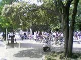 f:id:mrmt:20200830130943j:plain