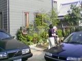 f:id:mrmt:20200830131511j:plain