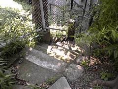 f:id:mrmt:20200830220904j:plain