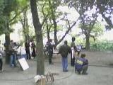 f:id:mrmt:20201214102428j:plain