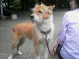 f:id:mrmt:20201214102437j:plain