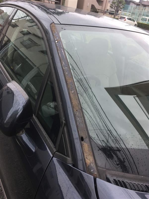 f:id:mrmt:20210110222511j:plain