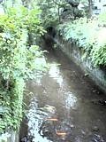 f:id:mrmt:20220109171057j:plain