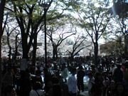 f:id:mrmt:20220209132435j:plain