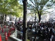 f:id:mrmt:20220209132438j:plain