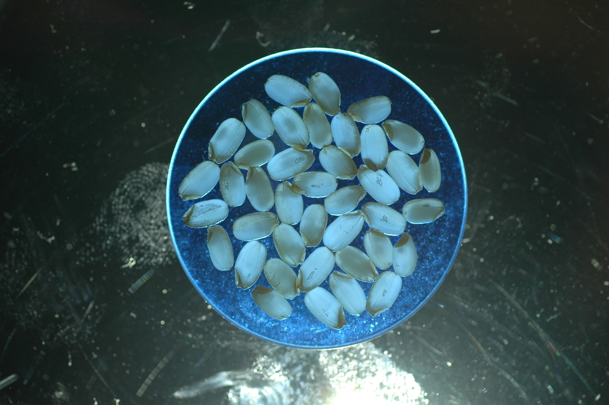 f:id:mroneofthem:20191105212941j:plain f:id:mroneofthem:20191105212941j:plain