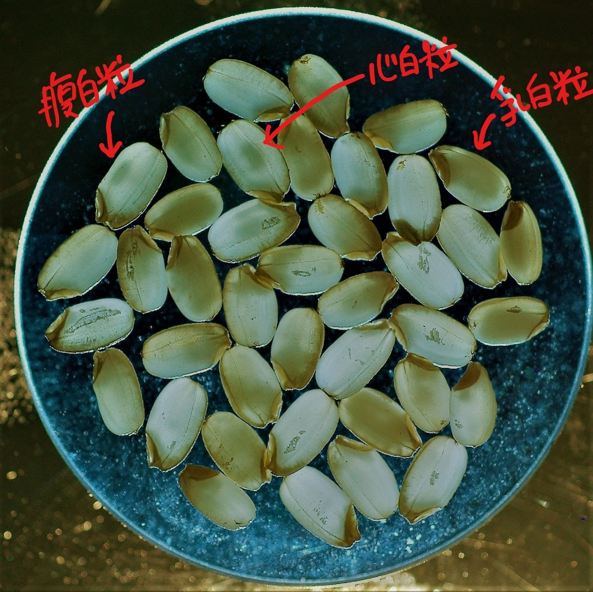 f:id:mroneofthem:20191105214225j:plain f:id:mroneofthem:20191105214225j:plain