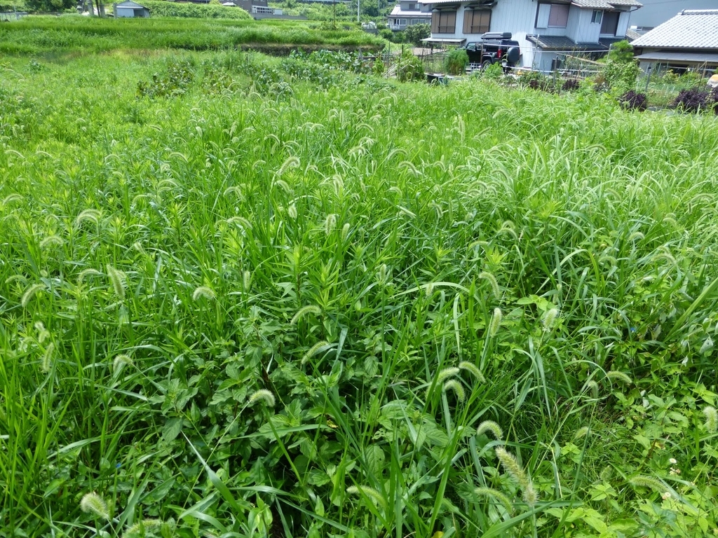 f:id:mrp1q7z:20180930222037j:plain