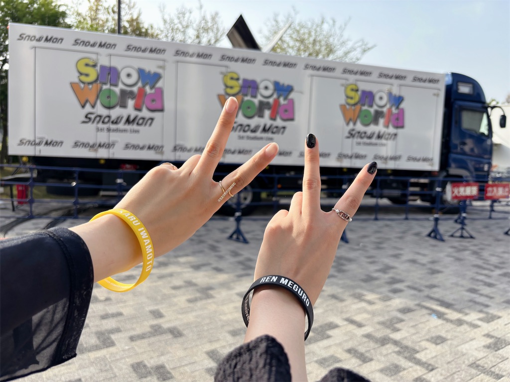 Snow Man 1st Stadium Live Snow World - ひとりごと✎