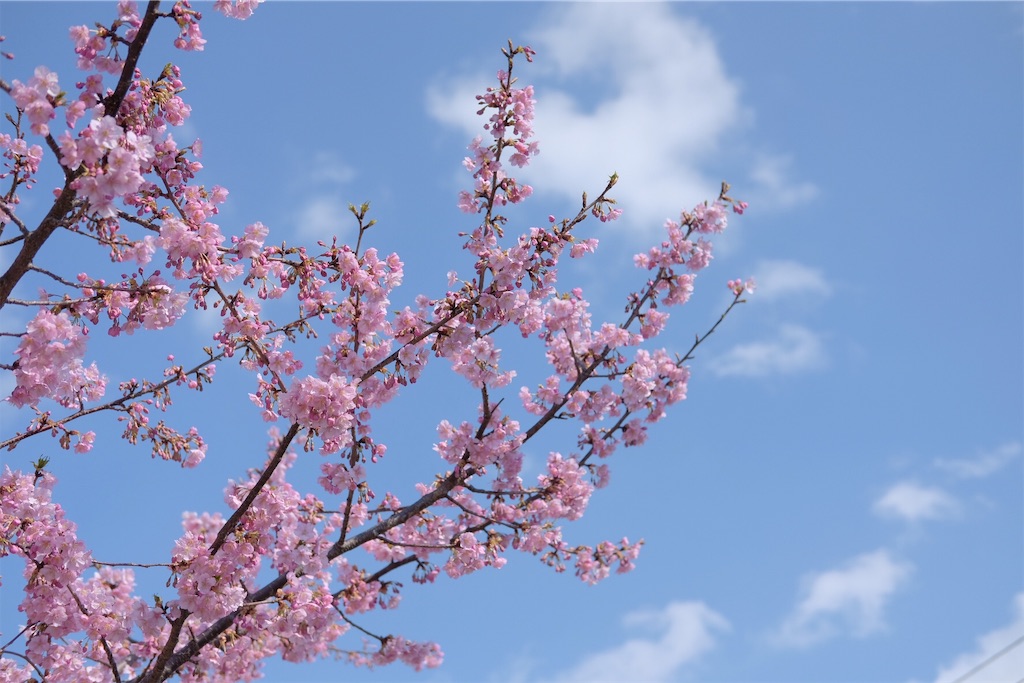 f:id:mrry831:20190305154131j:image
