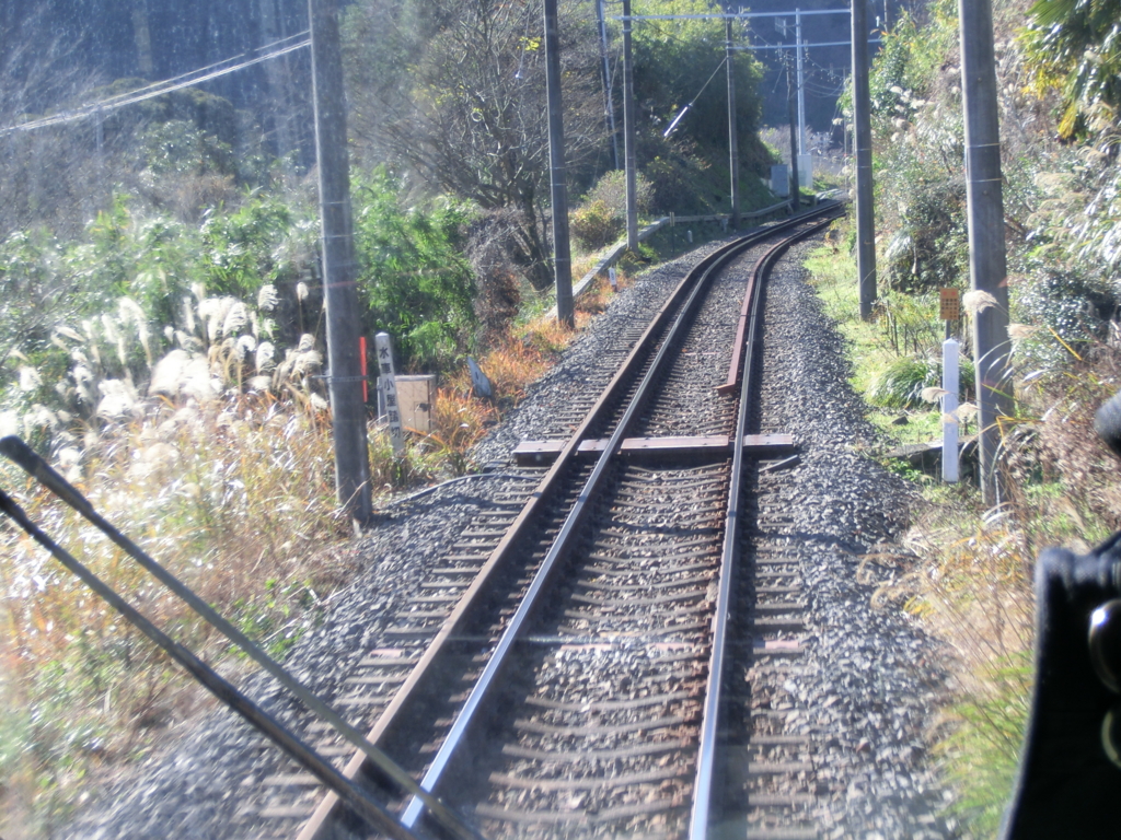 f:id:mrs-m-sato:20170128130451j:plain