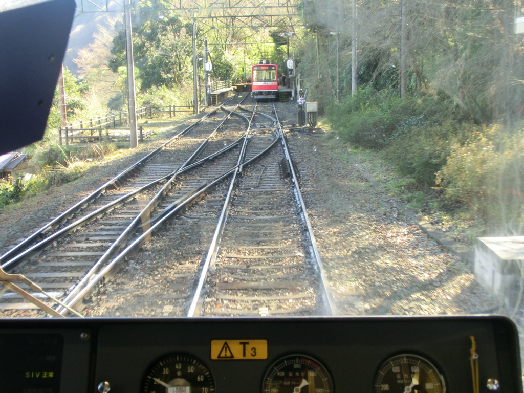 f:id:mrs-m-sato:20170128134109j:plain